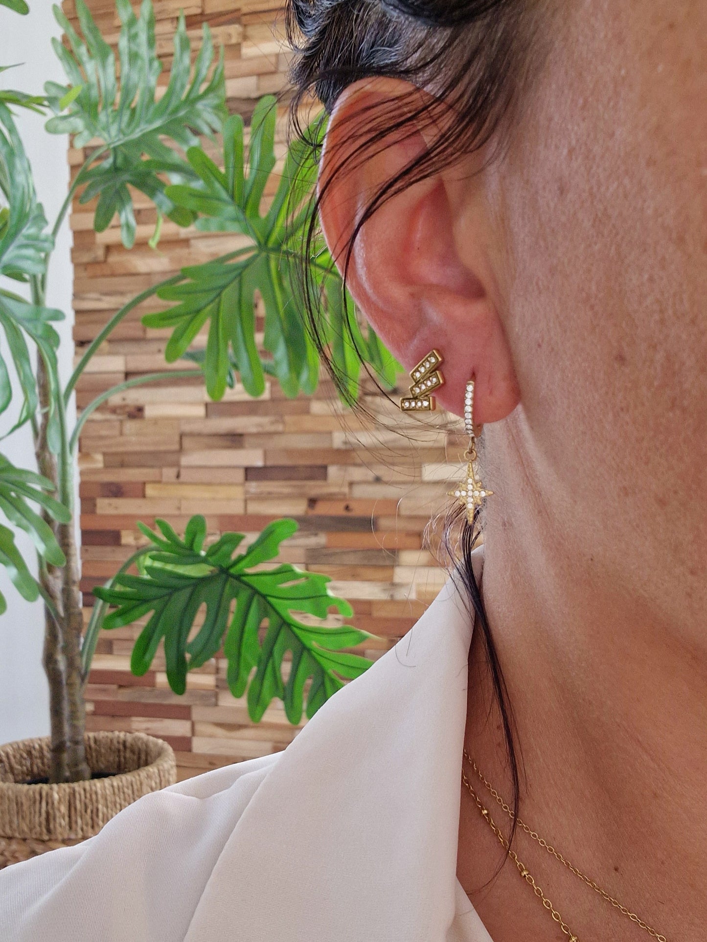 BOUCLES D'OREILLES VENUS ACIER