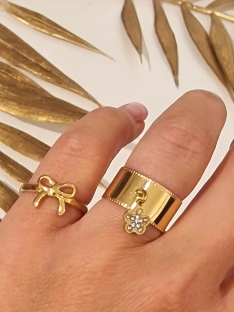 BAGUE LETTONIE ACIER