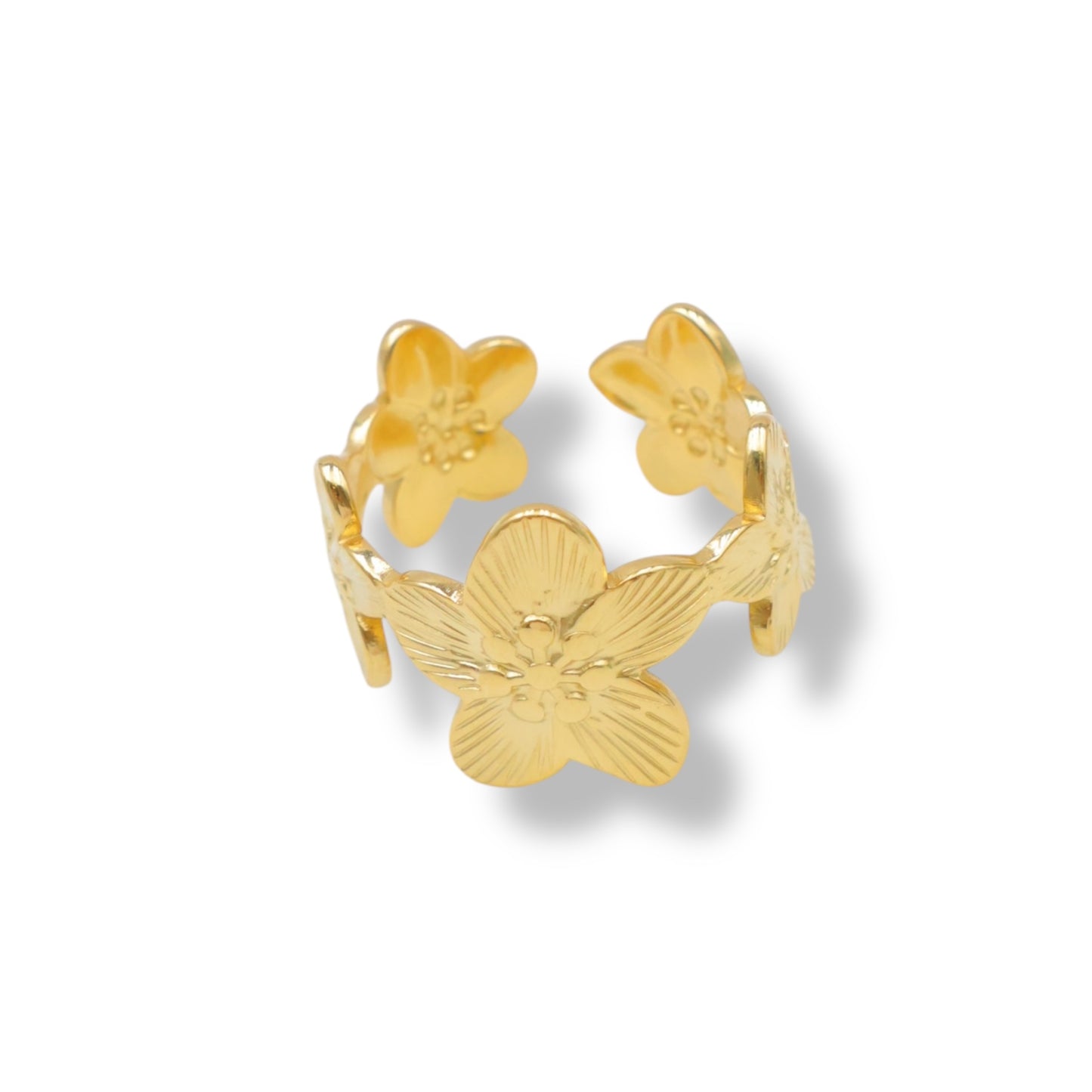 BAGUE EMA ACIER
