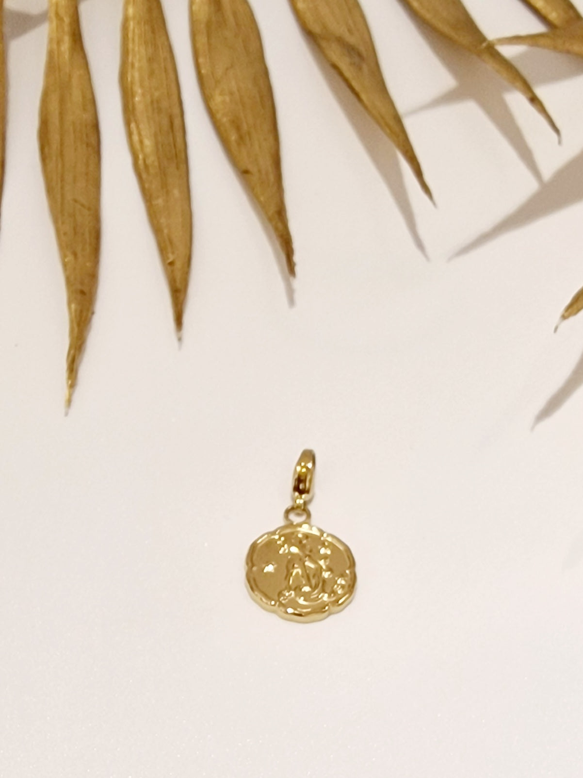 CHARM "ASTRO" ACIER OR