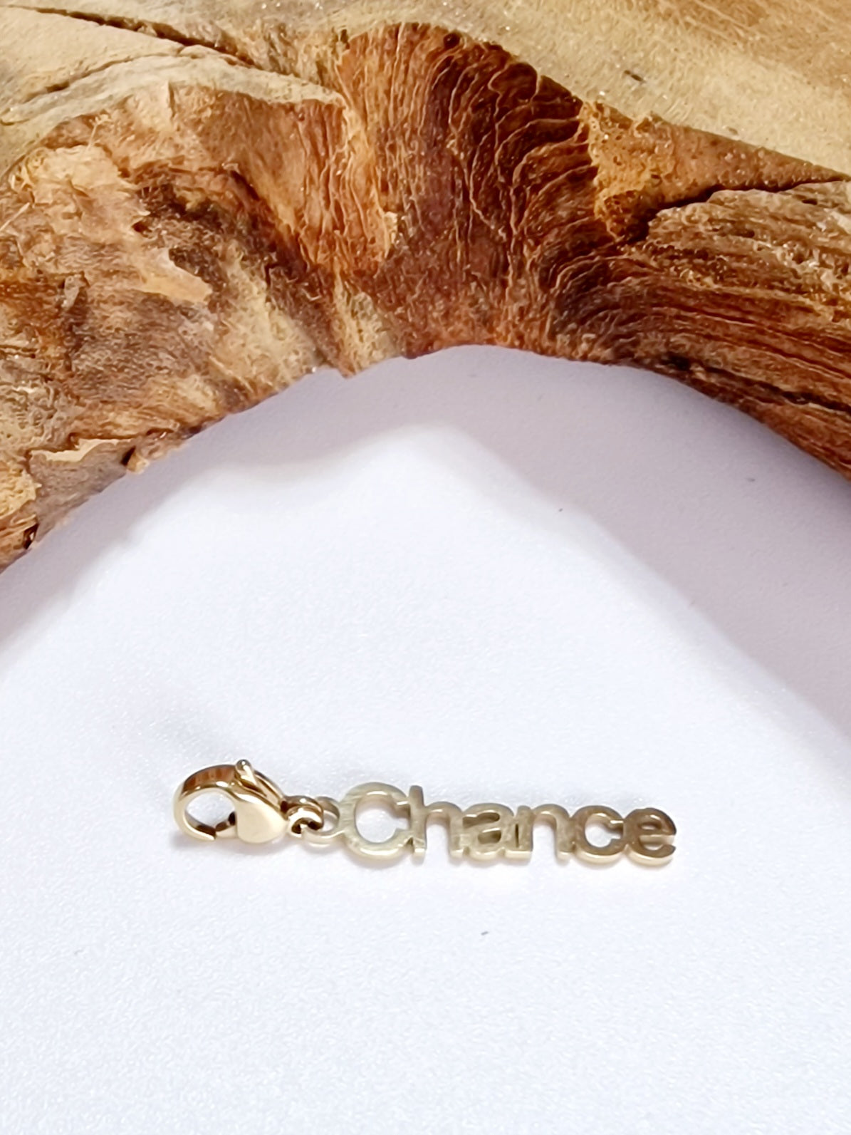 CHARM CHANCE ACIER OR