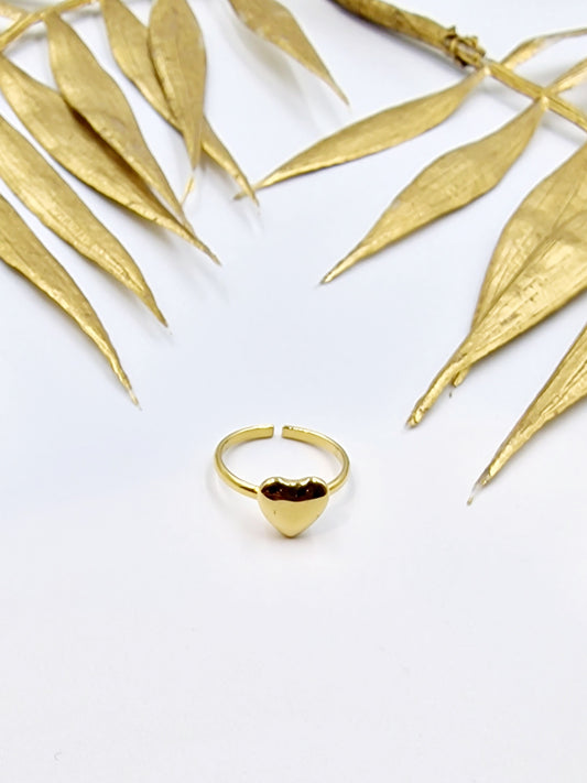 BAGUE SOLINE ACIER OR