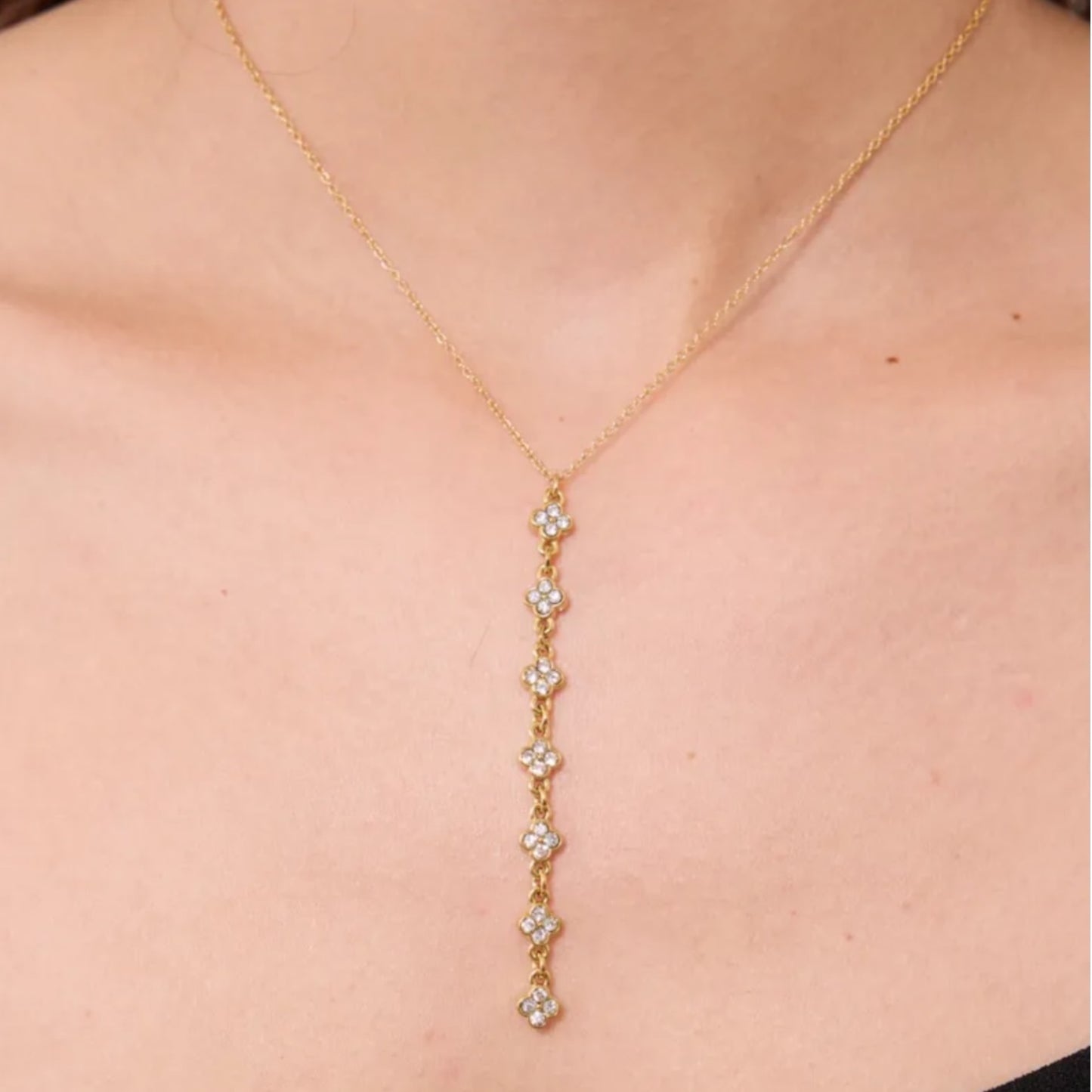 COLLIER STACI
