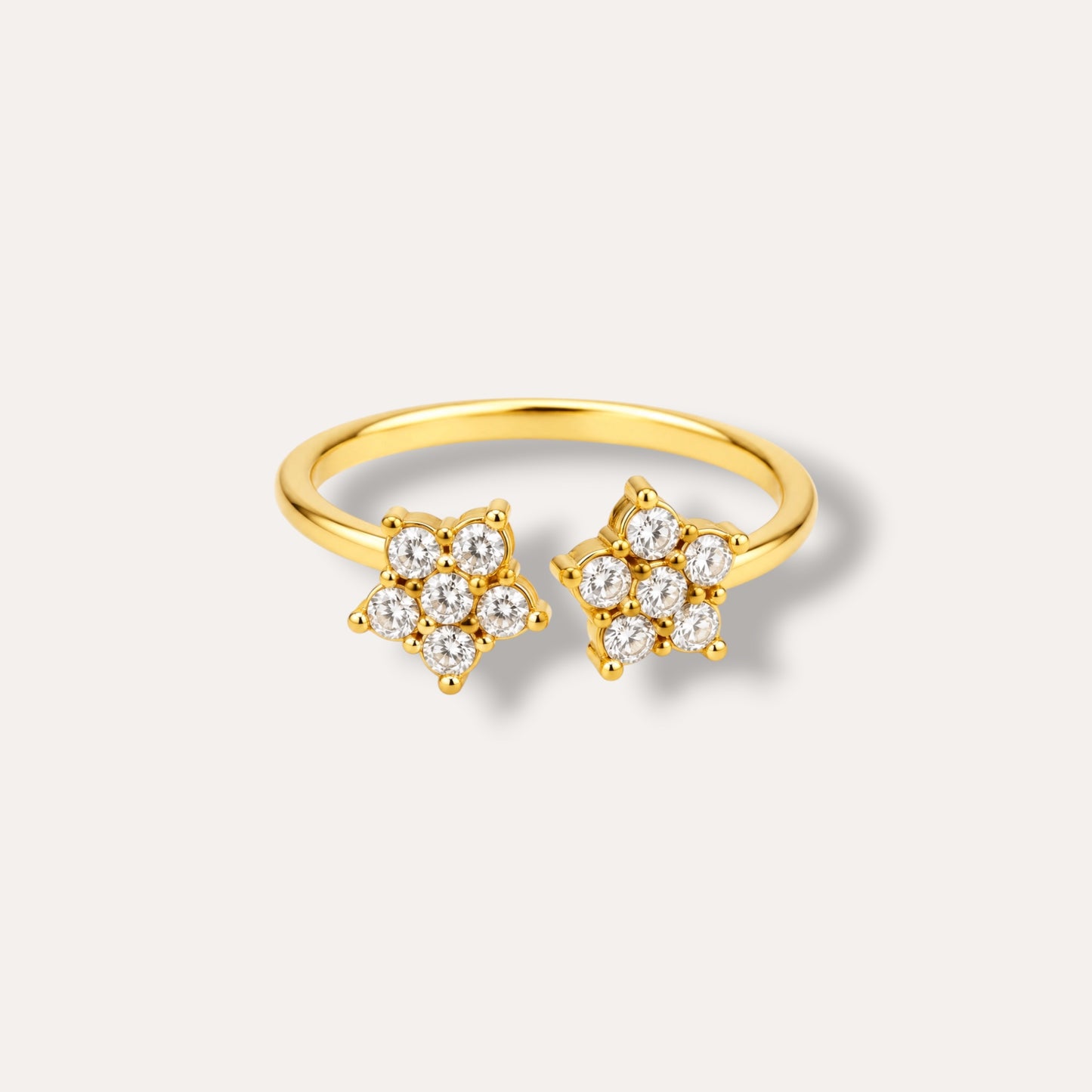 BAGUE DAHLINA