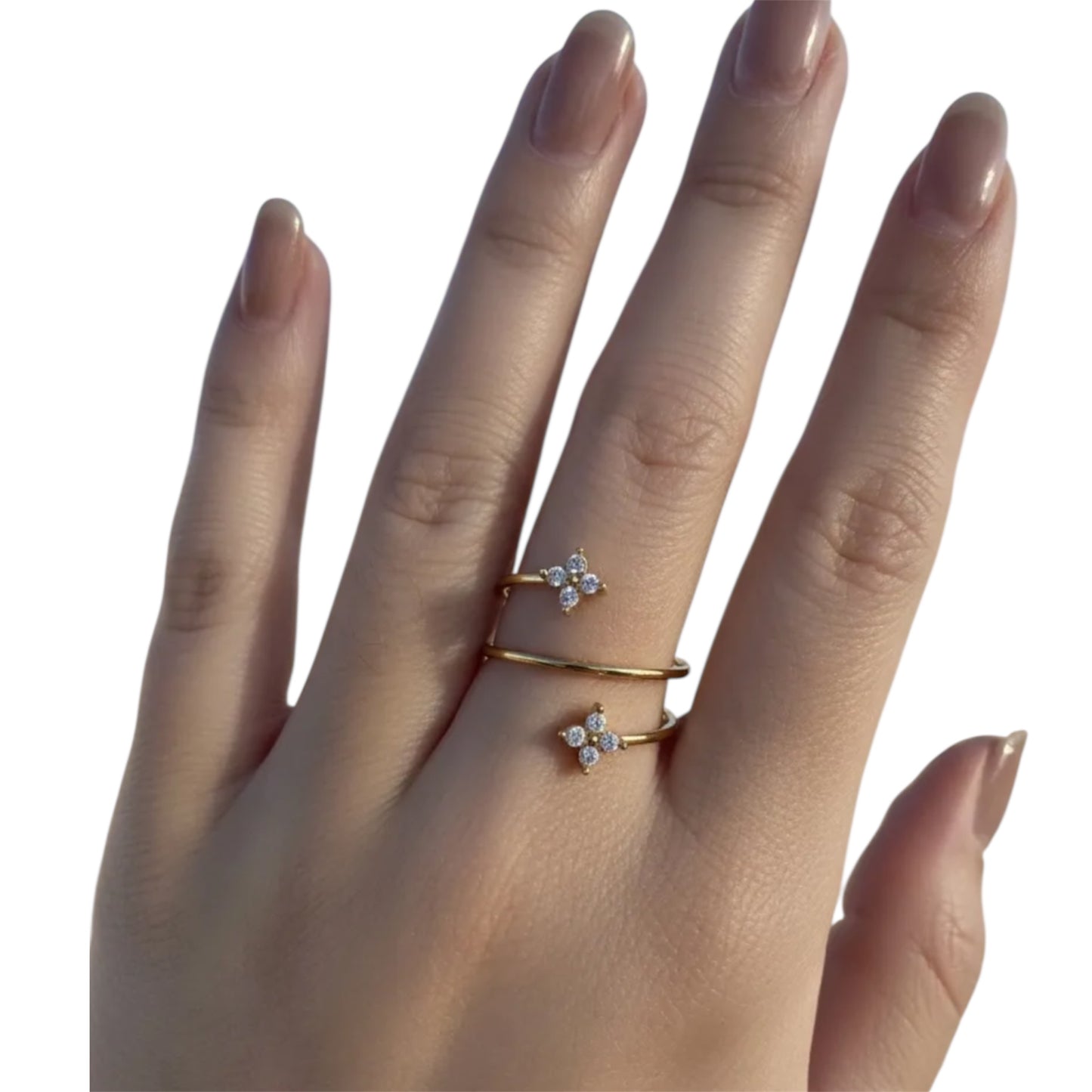 BAGUE DANAIS
