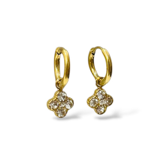 BOUCLES D’OREILLES BRADY ACIER