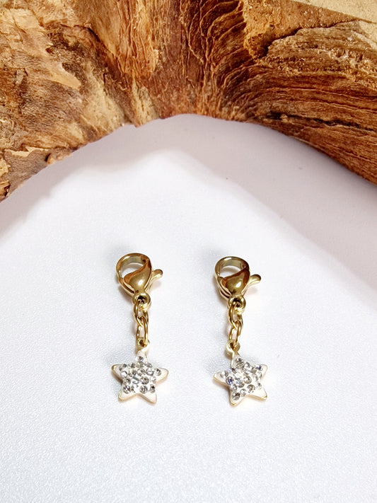 CHARME LOT DE 2 ETOILE ACIER OR